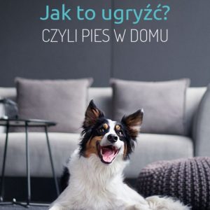 Dogenius Galeria