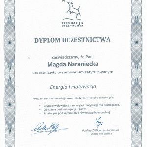Dogenius Galeria
