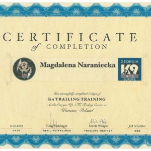 Dogenius Galeria