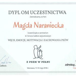 Dogenius Galeria