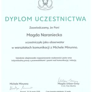 Dogenius Galeria
