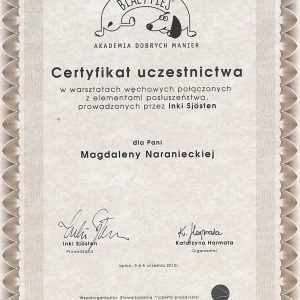 Dogenius Galeria