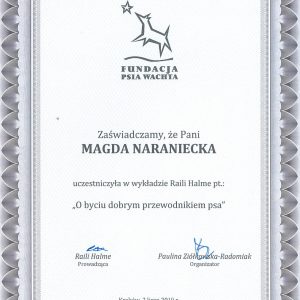 Dogenius Galeria