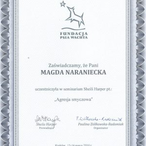 Dogenius Galeria