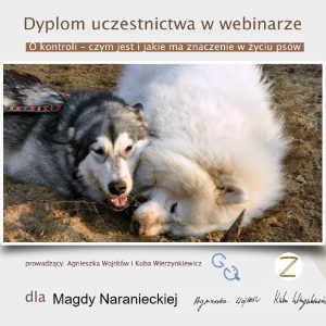 Dogenius Galeria