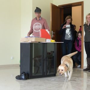 Dogenius Galeria